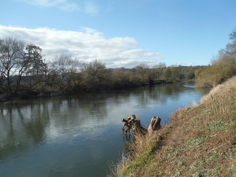 Lower Wye in March